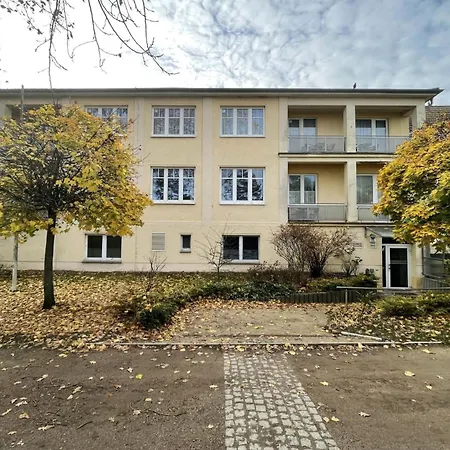 Strandflieder 205 *