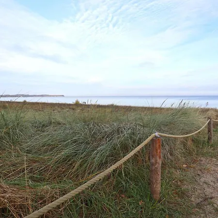 Strandflieder 205 *