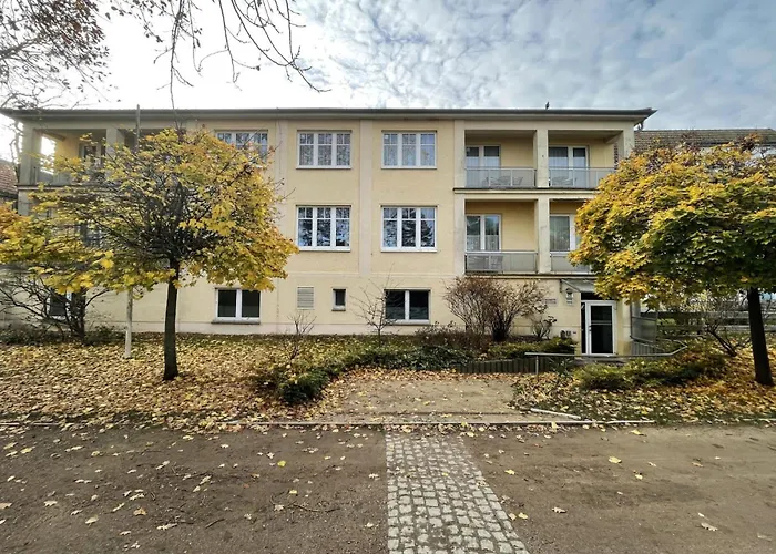 Strandflieder 205 *